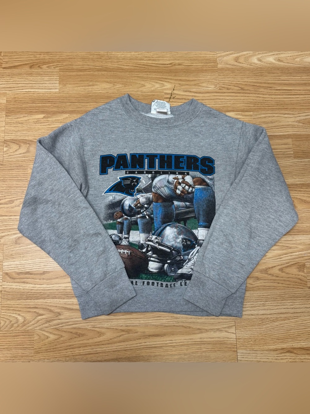 Vintage Lee Sport Youth Carolina Panthers Sweatshirt